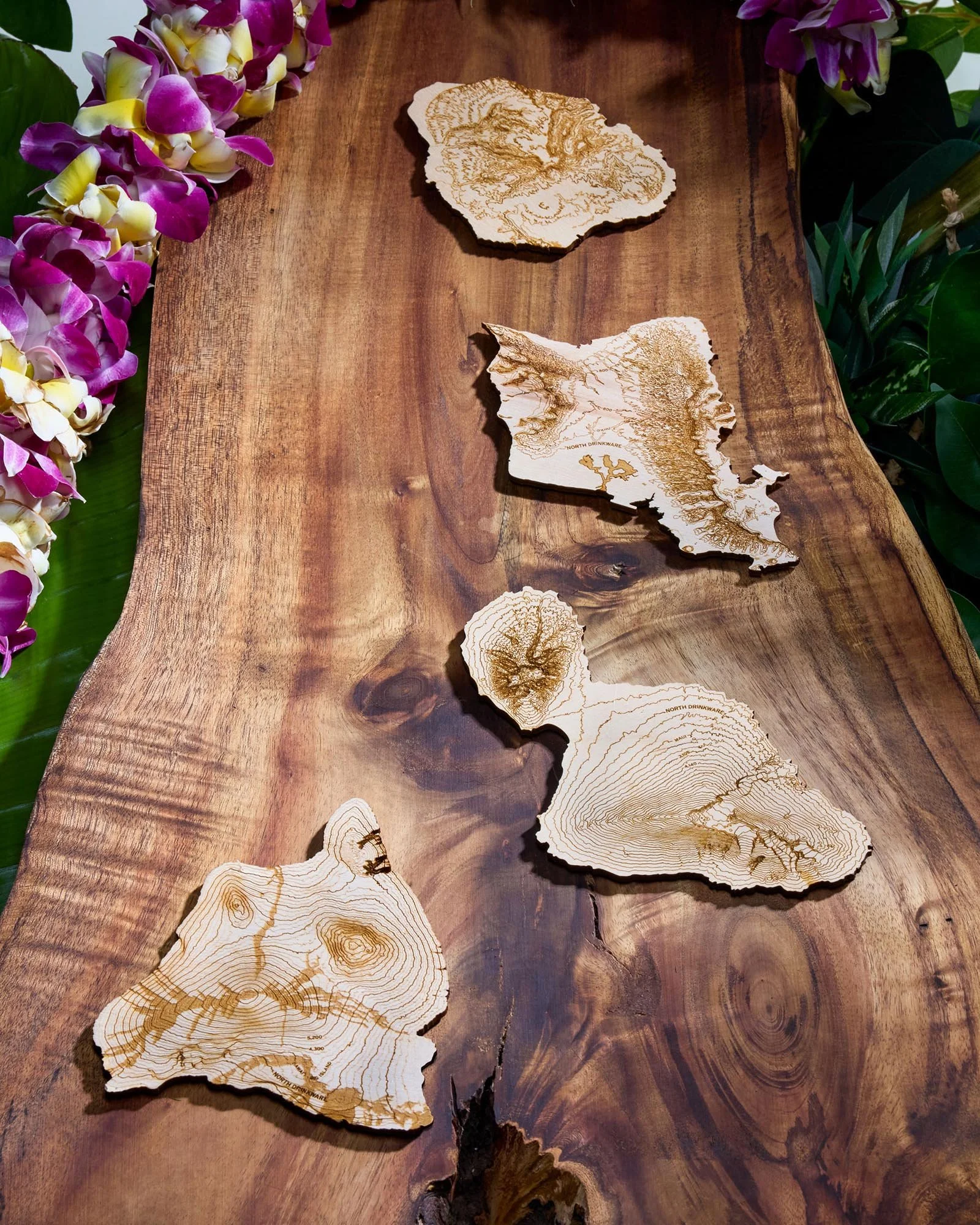 hawaiian islands coaster set