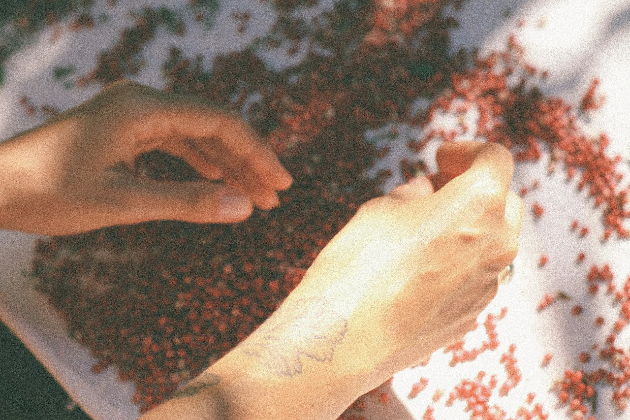 Seedy Saturday, March 14, 2026