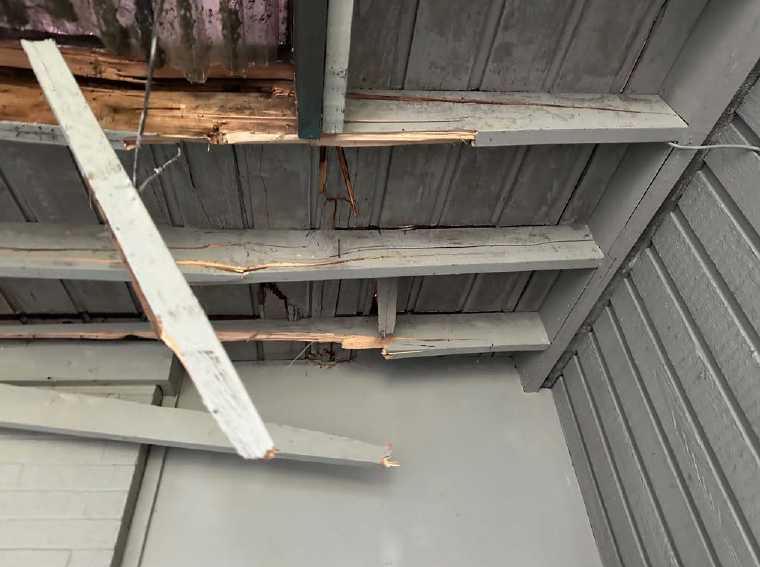 Bellevue, Wind Damage