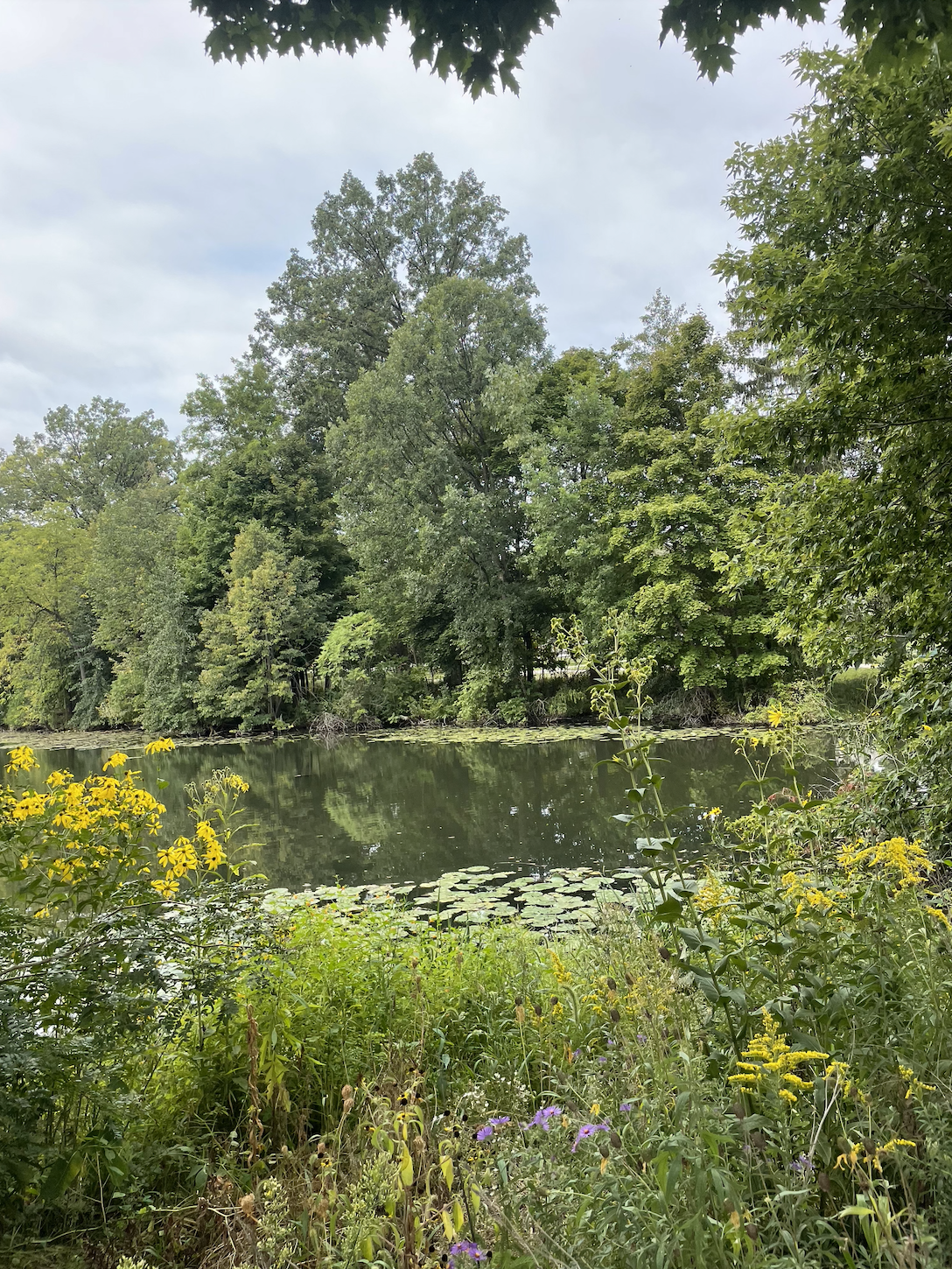 Screenshot 2026-02-20 at 2.40.48 PM.png