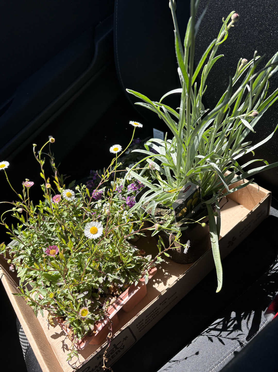 Screenshot 2026-03-14 at 3.34.13 PM.png