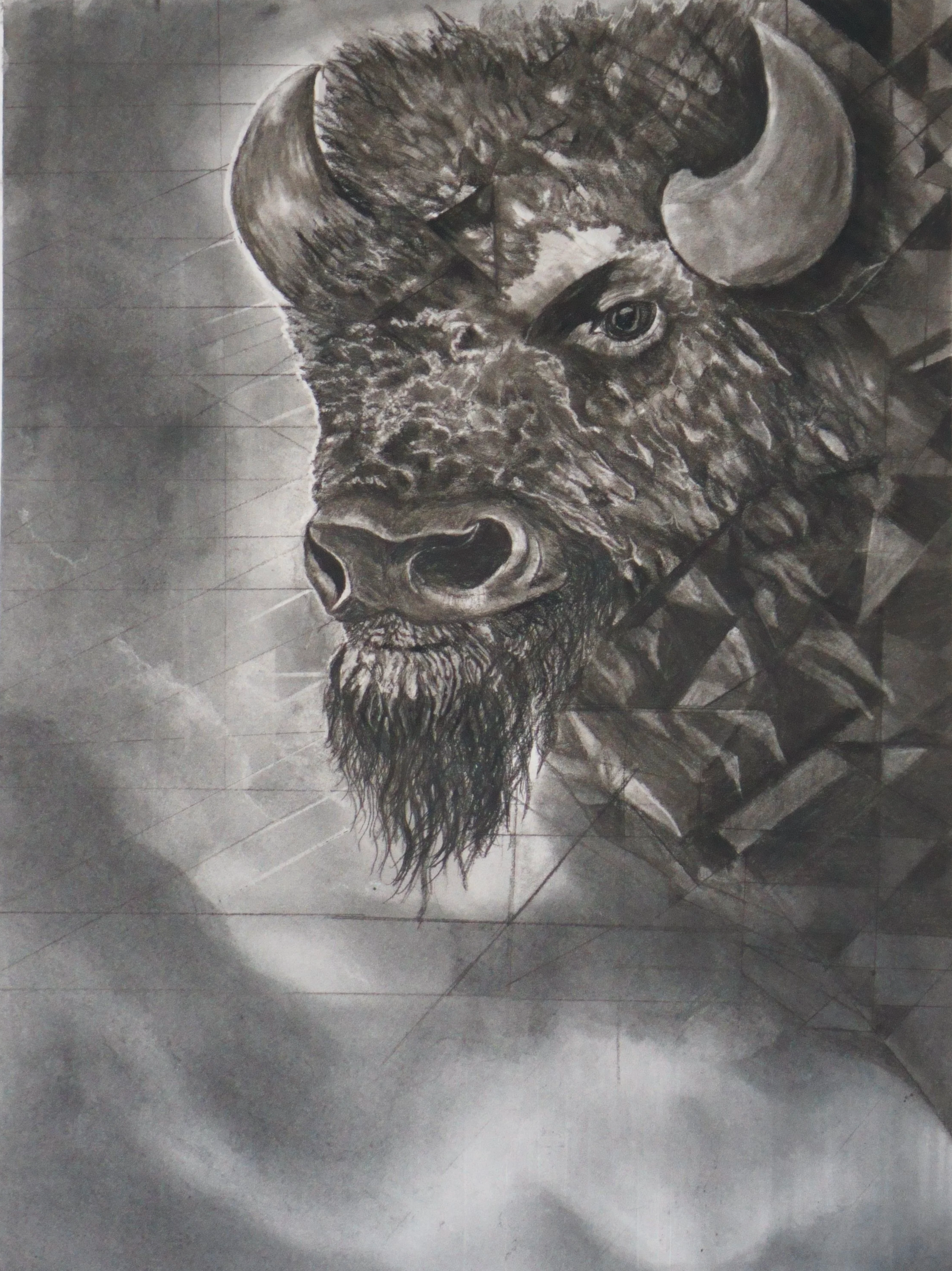 
"A Beast Divided" 18x24 Charcoal on Paper, 2026