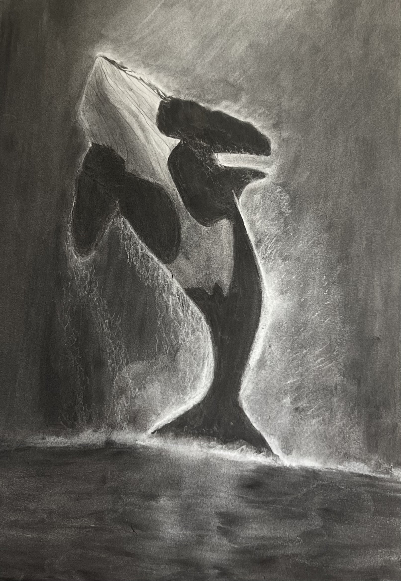 "Echo of the Deep" 18x24 Charcoal on Paper, 2024