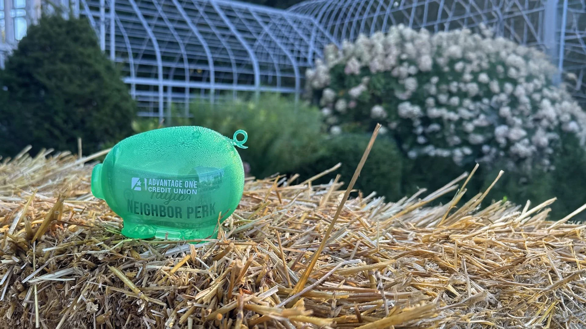 [TAYLOR FUN] Piggy Scavenger Hunt