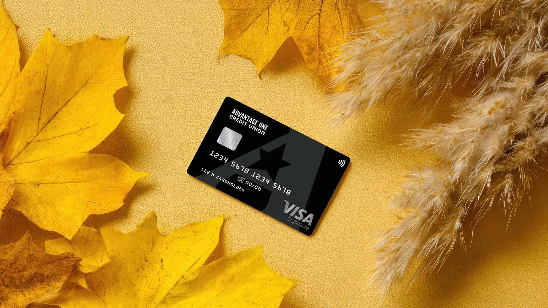 [CONTEST] Taylor Credit Giveaway