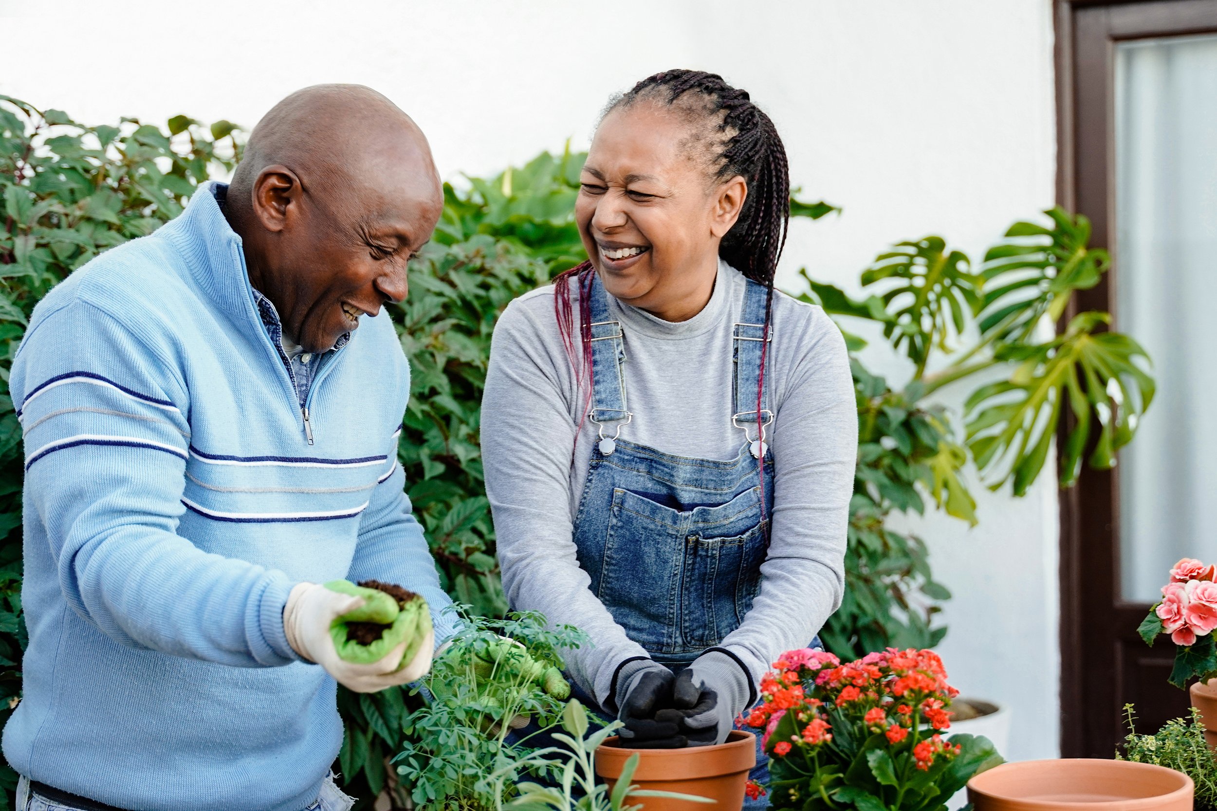 New Thrive Savings
