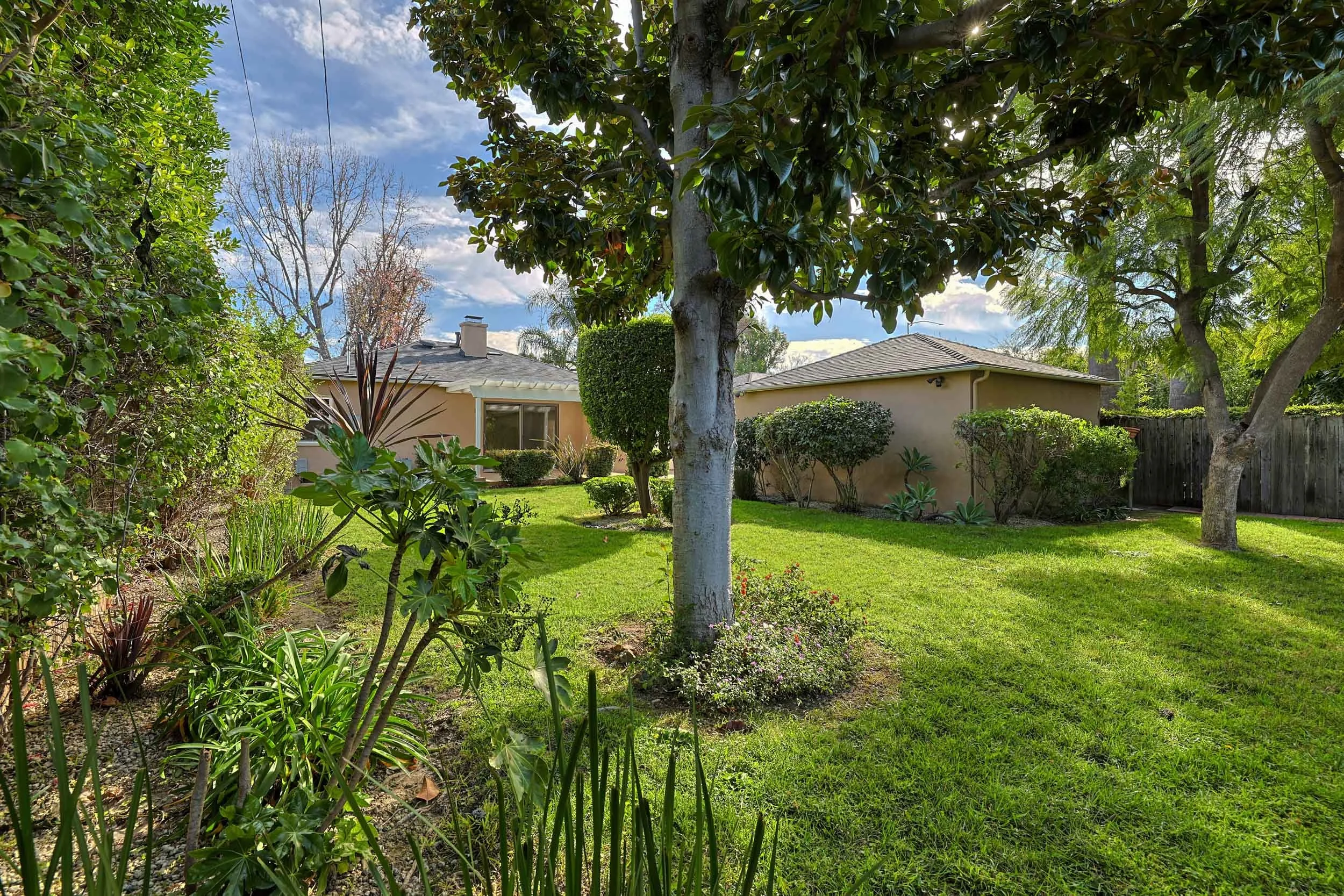 030_Ventura Canyon_012626_HDR.jpeg