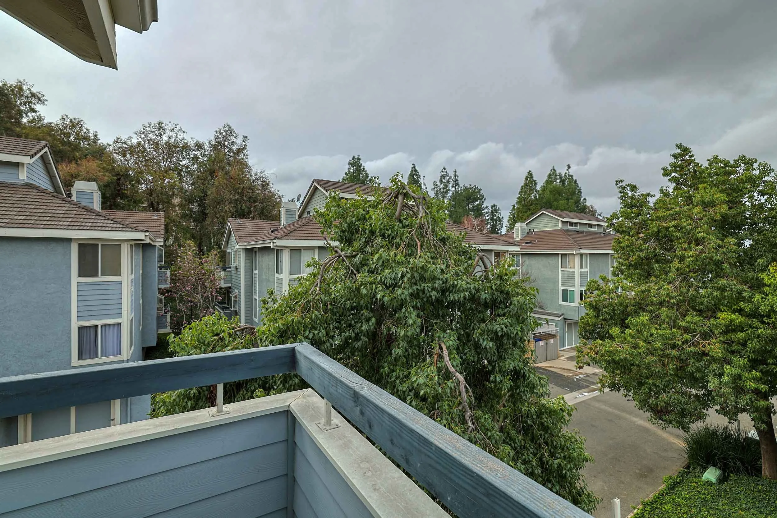 012_Flo Lane_021026.jpeg