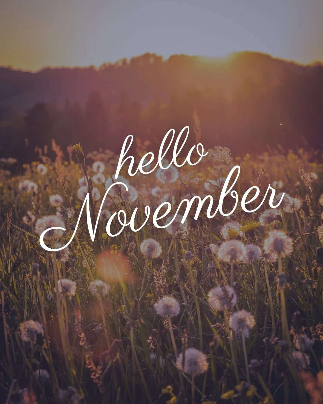 It&rsquo;s the season of gratitude, goal-setting, and mid-year reflection. November is the perfect time to:

- Review your mid-year numbers and catch up on your bookkeeping so you stay organised and on track.

- Send client appreciation gifts or holi