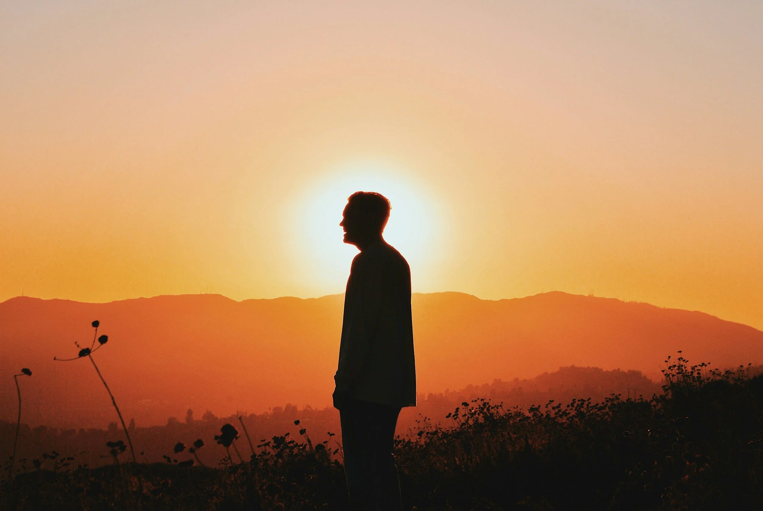 A silhouette of a person standing outdoors during sunset with hills in the background and plants in the foreground.