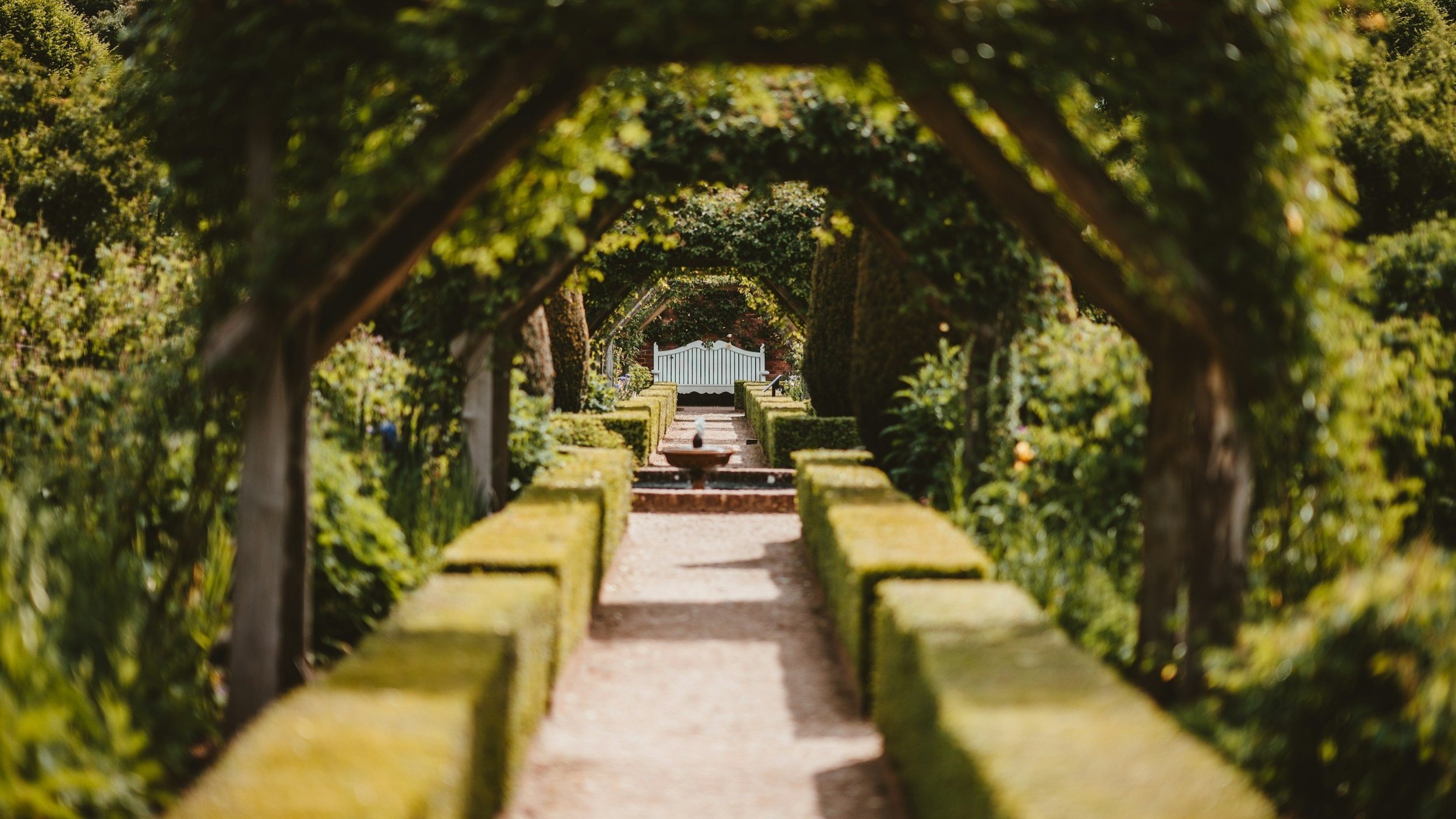 A garden pathway with green hedges and arched wooden trellises leading to a white gate in the distance, with a small fountain along the path.