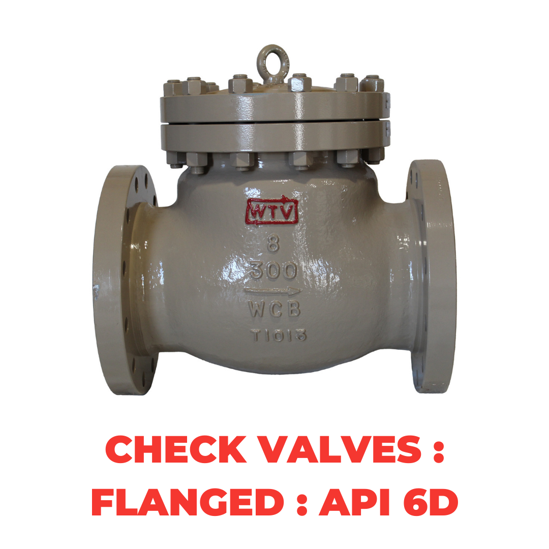 Check Valves : Flanged : API 6D