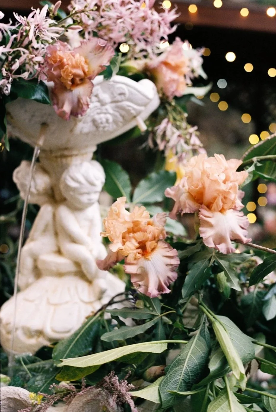 A decorative arrangement featuring a white cherub sculpture with a plastered face, sitting on a pedestal supporting a bowl of pink and peach flowers with ruffled petals, surrounded by green leaves and set against a background illuminated with small, warm, blurred lights.