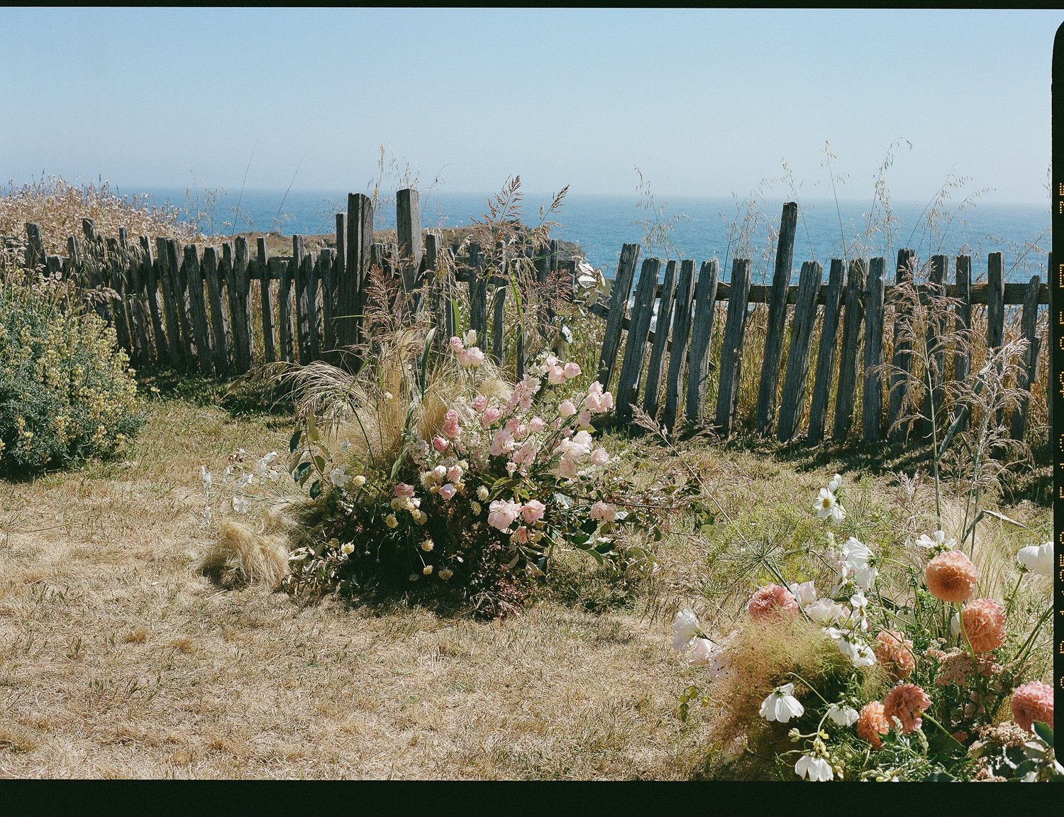 Wild coastal California Native floral arrangement with a sunset color palette