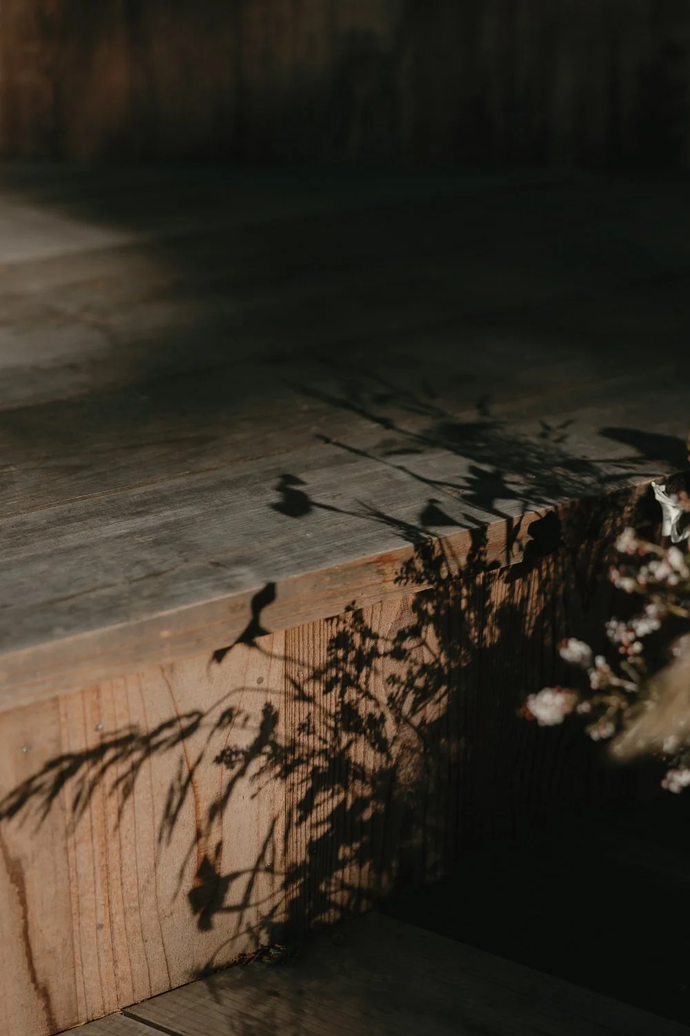 Sunlit wooden deck with shadows of flowering plant branches casting patterns on the surface.
