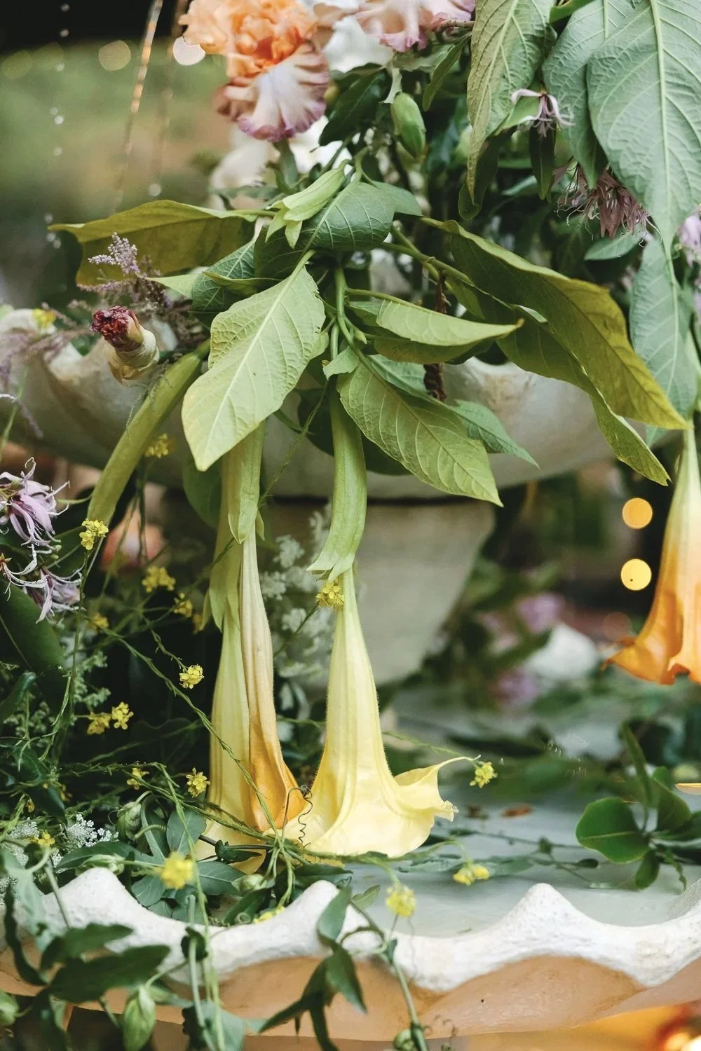 Yellow angelface trumpet flowers hanging from a plant with green leaves, surrounded by various small flowers and greenery in a decorative planter.