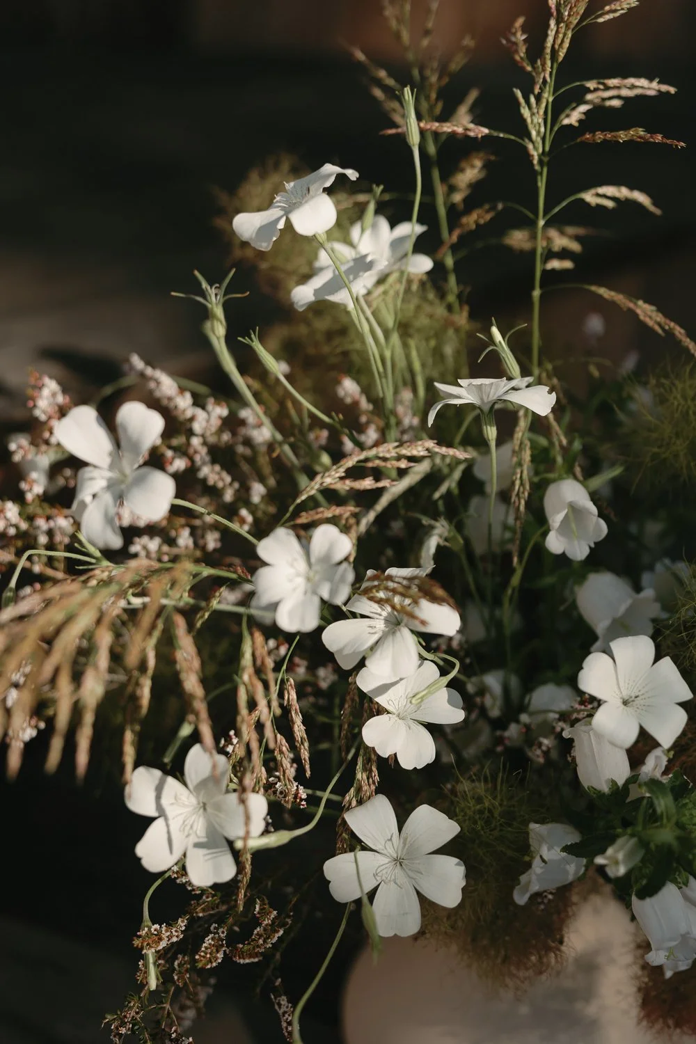 Close-up of a bouquet with white flowers and tall grasses, set against a dark background.