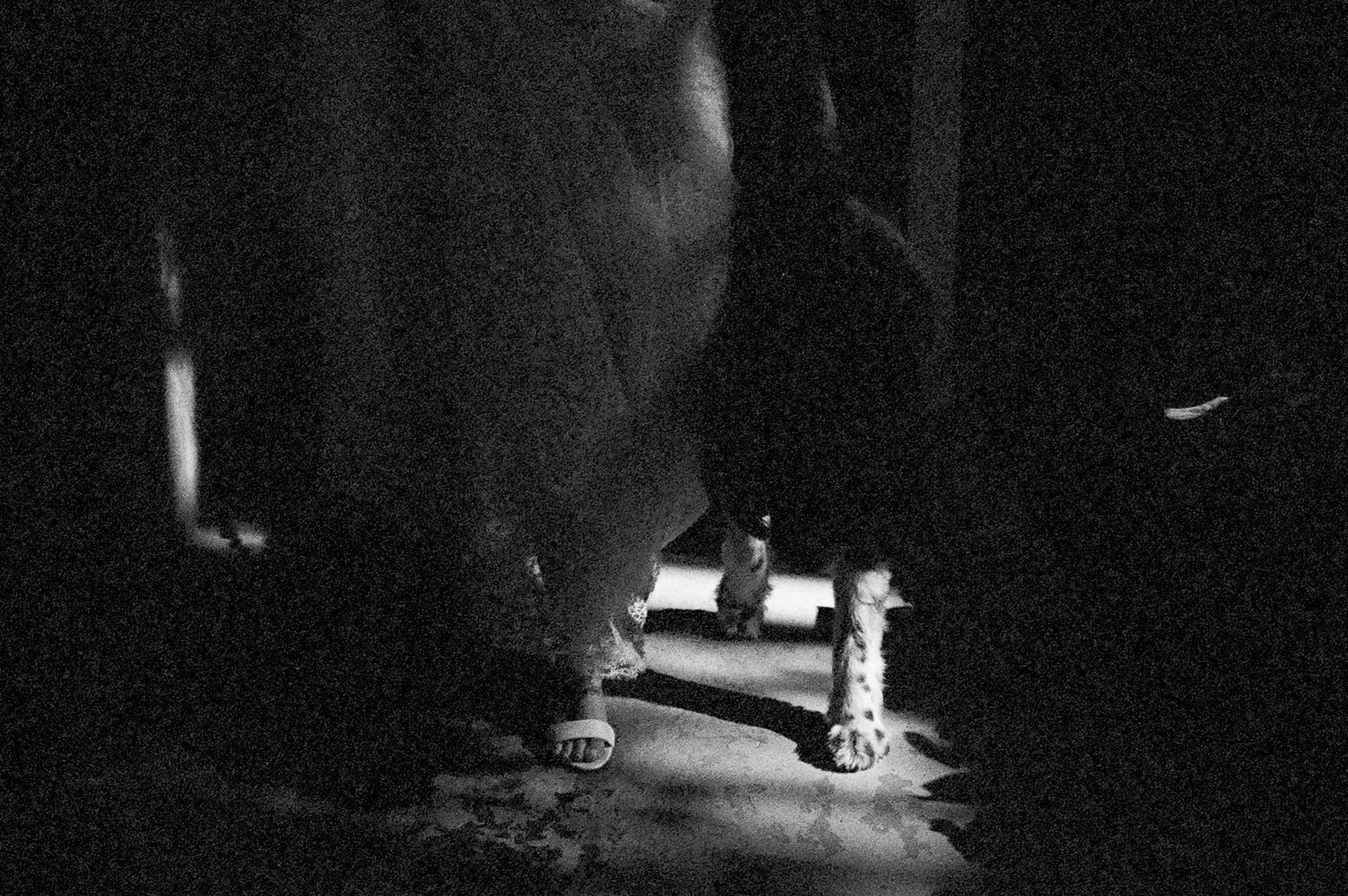 Lodge-at-Malibou-Lake-Wedding-Kadi-Tobin-Photographer00927.jpg