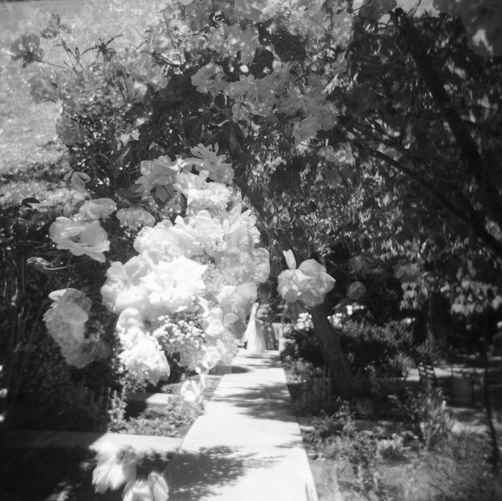 Lodge-at-Malibou-Lake-Wedding-Kadi-Tobin-Photographer00656.jpg