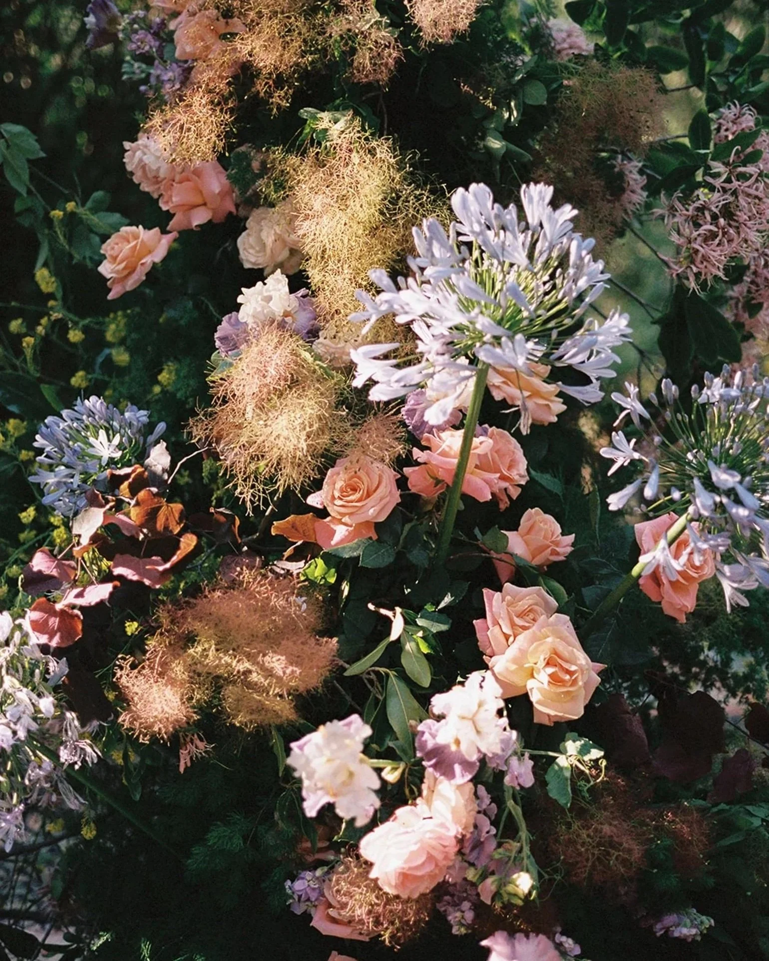 A dense cluster of pink roses, bearded iris, purple agapanthus, and fluffy pink liatris flowers amidst green foliage.