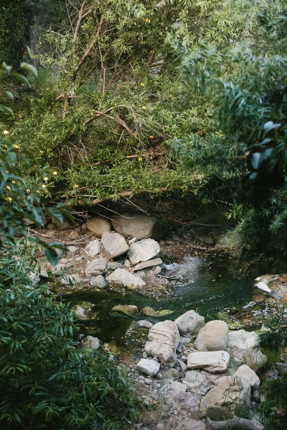 Creek running through the gardens at the Inn of the Seventh Ray in Los Angeles