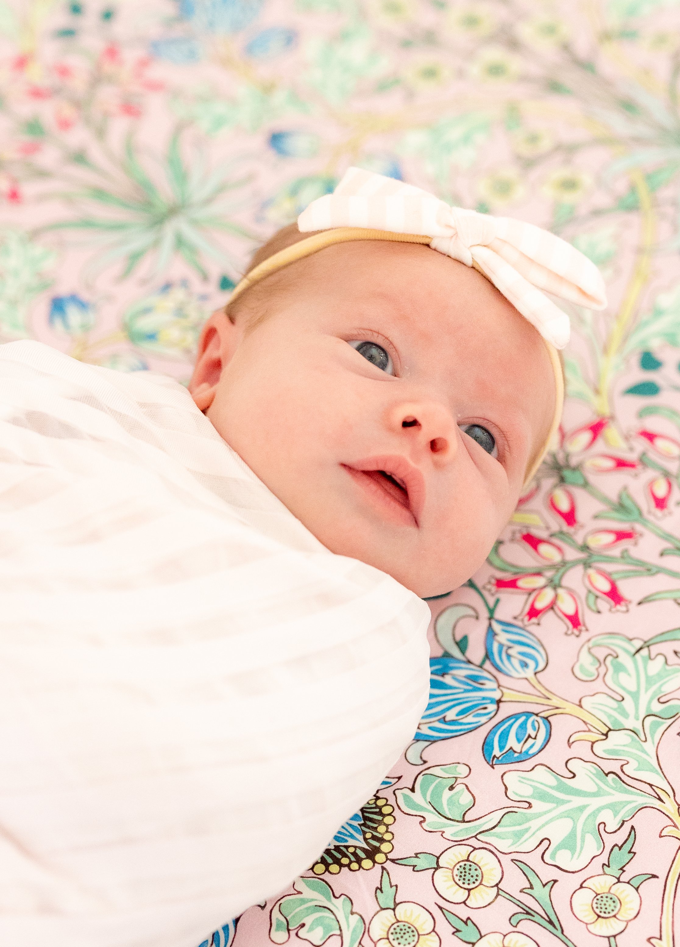 newborn baby in home photography session