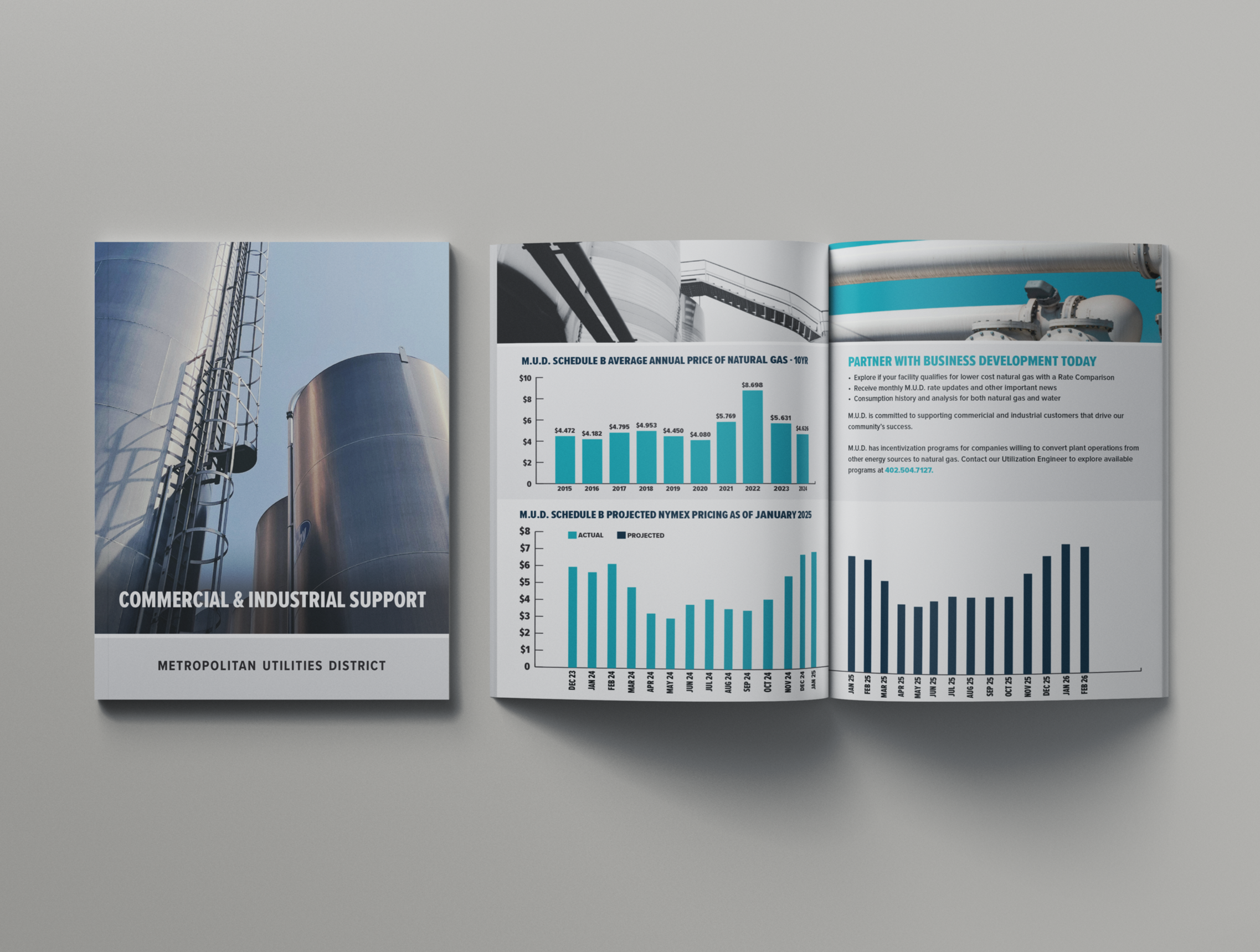 Business+Development+Brochure.png