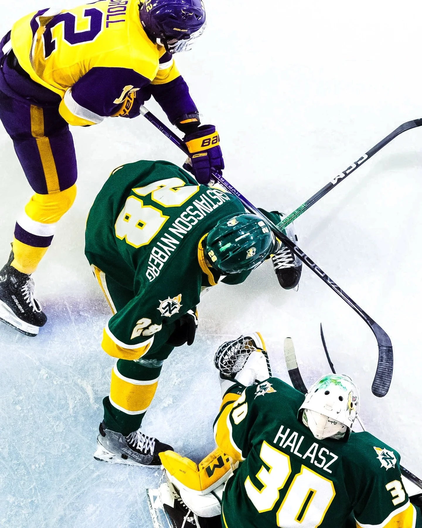 THERE&rsquo;S A CAT IN THE WILD 🐱‼️

HUGE congrats to Viking for making his NHL debut last night with the Minnesota Wild!! @viking_gustavsson21