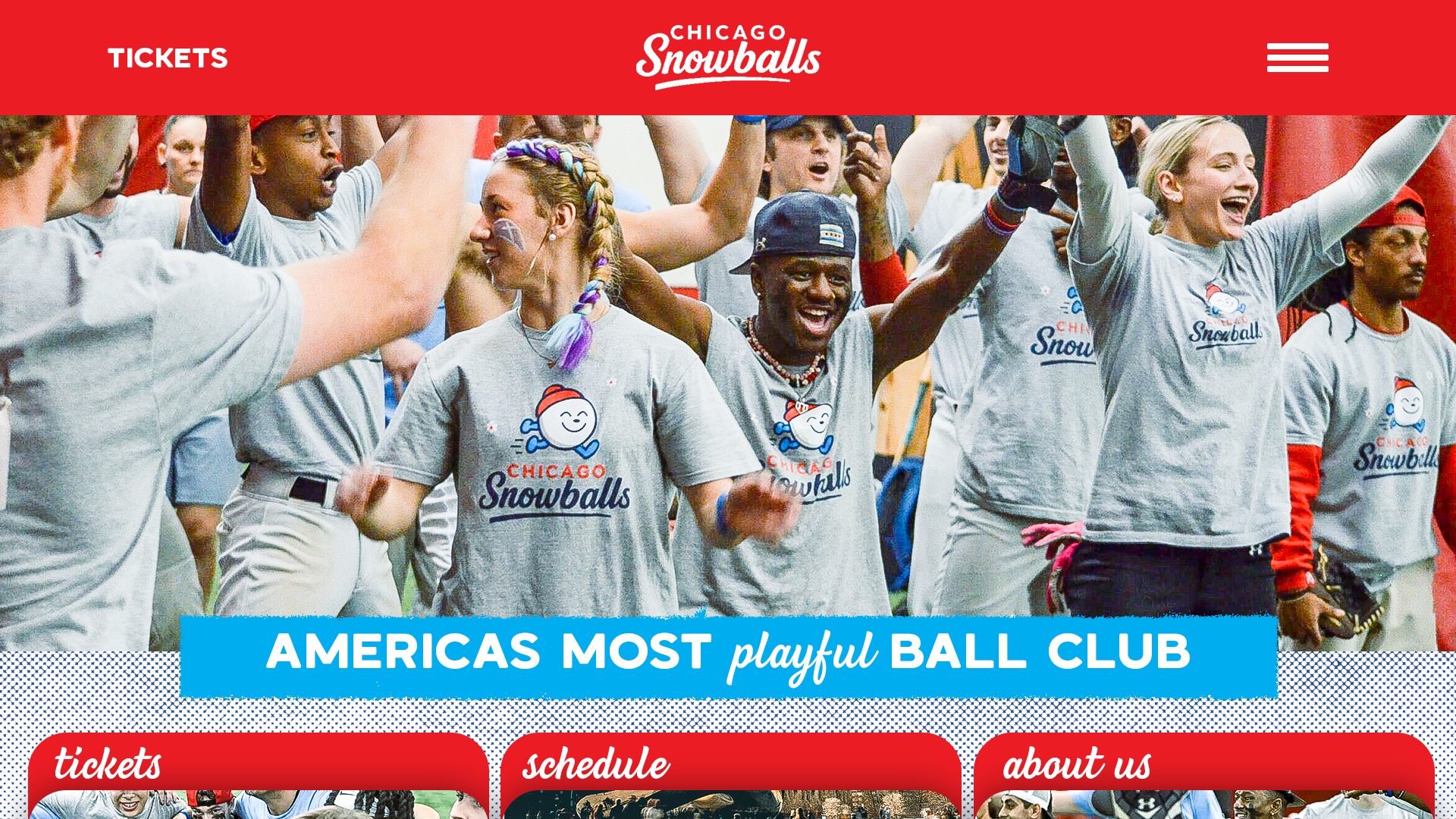 Group of diverse people in gray Chicago Snowballs T-shirts celebrating, with some raising their arms, at an outdoor event.