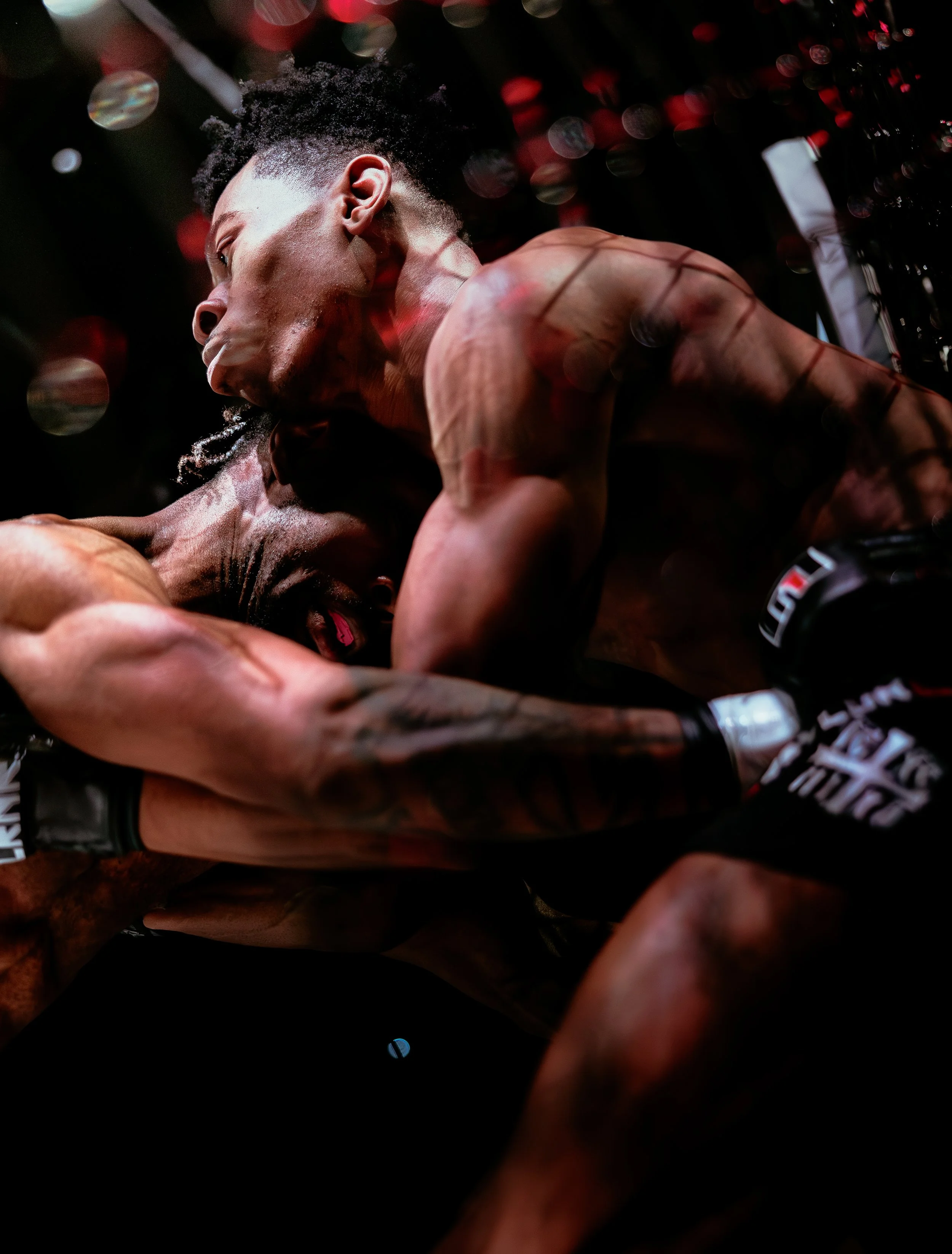 260228 141A0016 Maximus XIII.jpeg