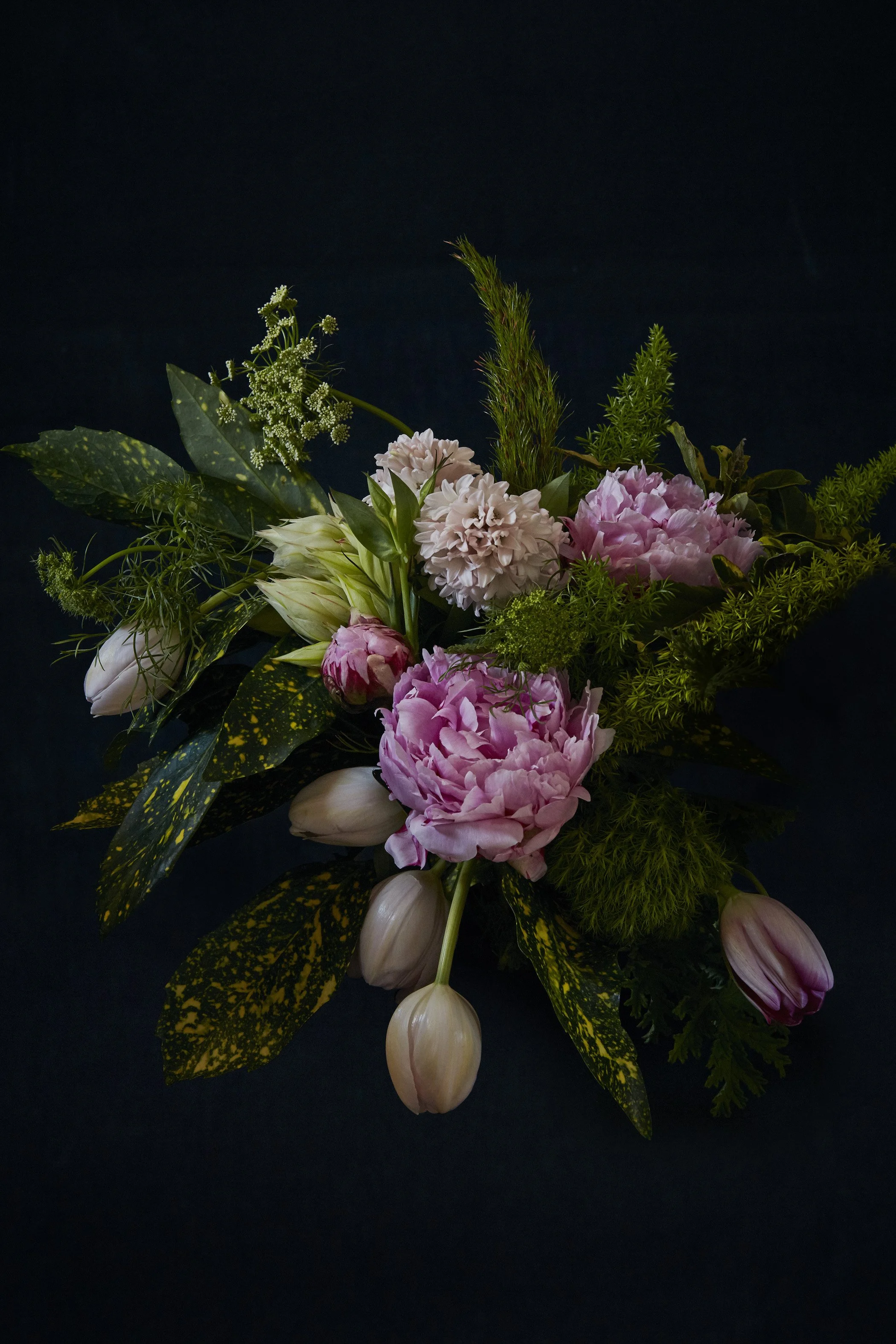 ©_Henry_Trumble-SN-Flowers-12_A4.JPG