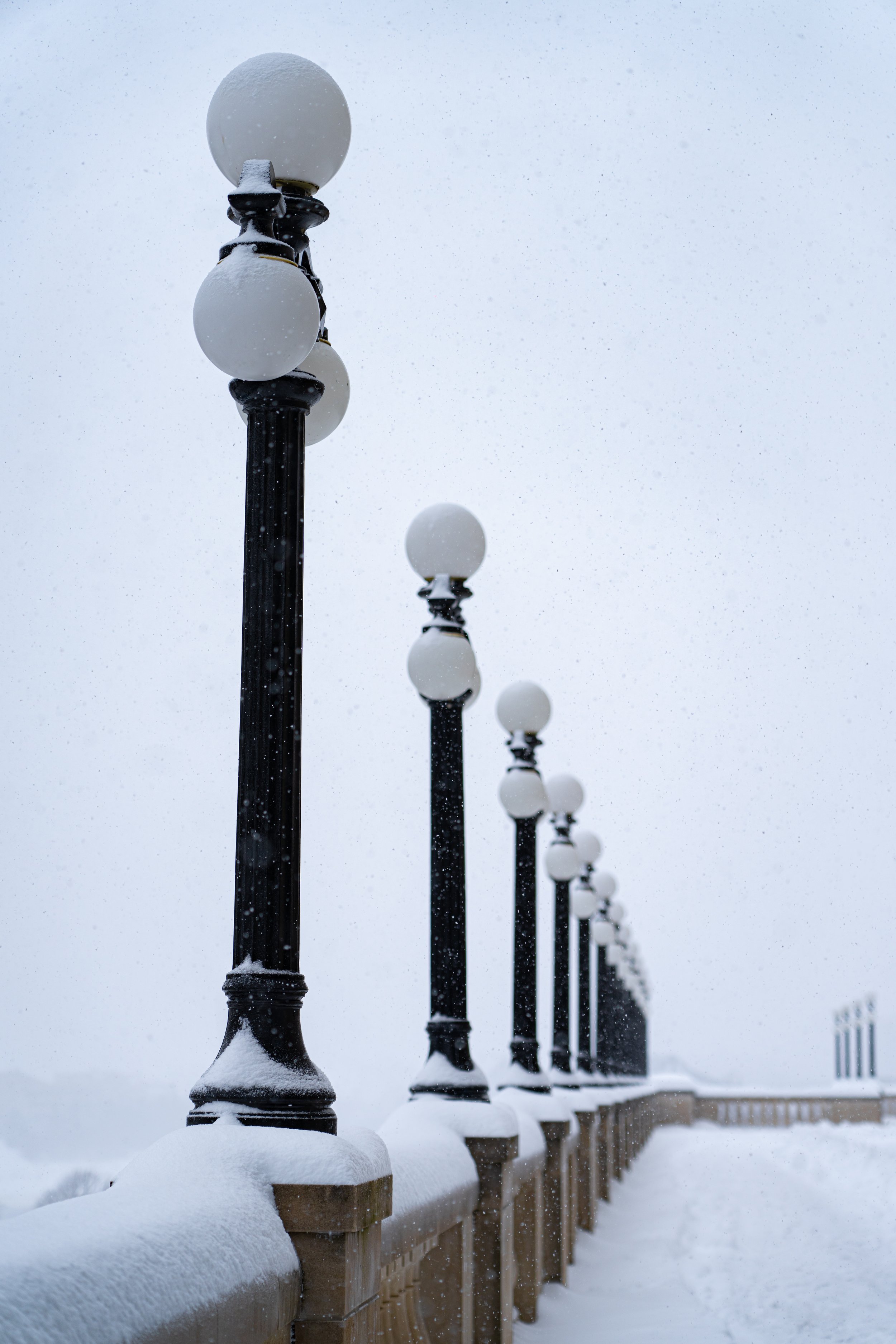 _DSC0140.jpg