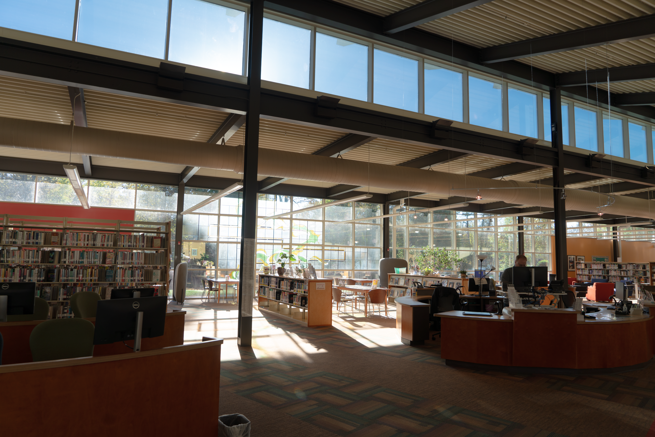 A picture of the main area of the Mountain Island Library Branch of the Charlotte Mecklenburg Library system. There are shelves of books, tables with chairs, and windows all along the back wall, which fill the room with natural sunlight.