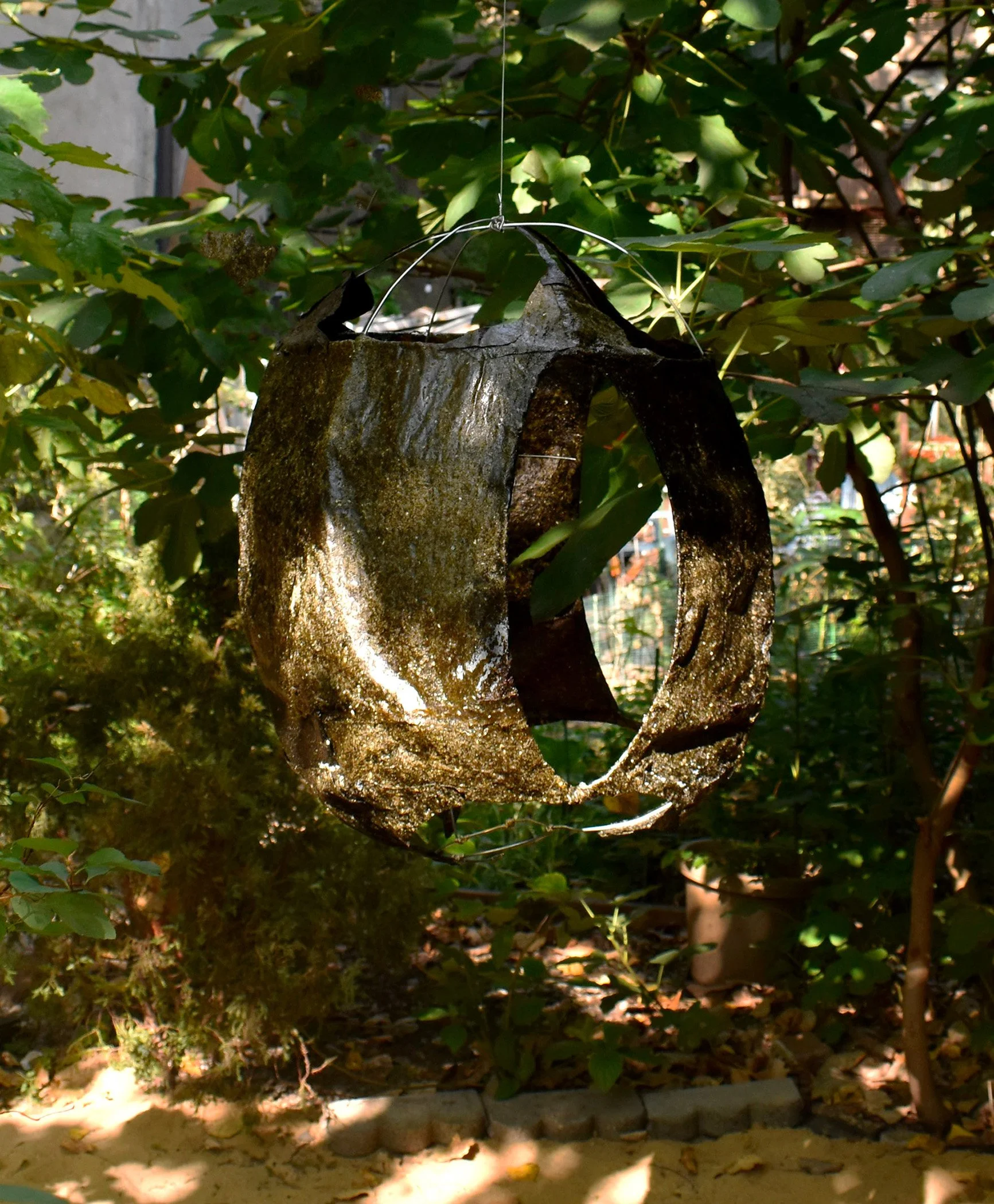 2025; Immemorial; Ulva Seaweed harvested from Rockaway Beach NY, glycerin, gelatin, aluminum wire; 30" x 23" x 23"