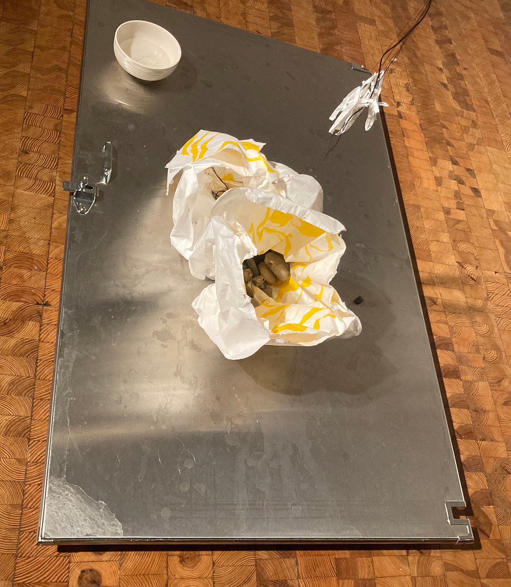 2024; Scale; Wood, stones, bathroom door, rice paper, ink, thread and water installation