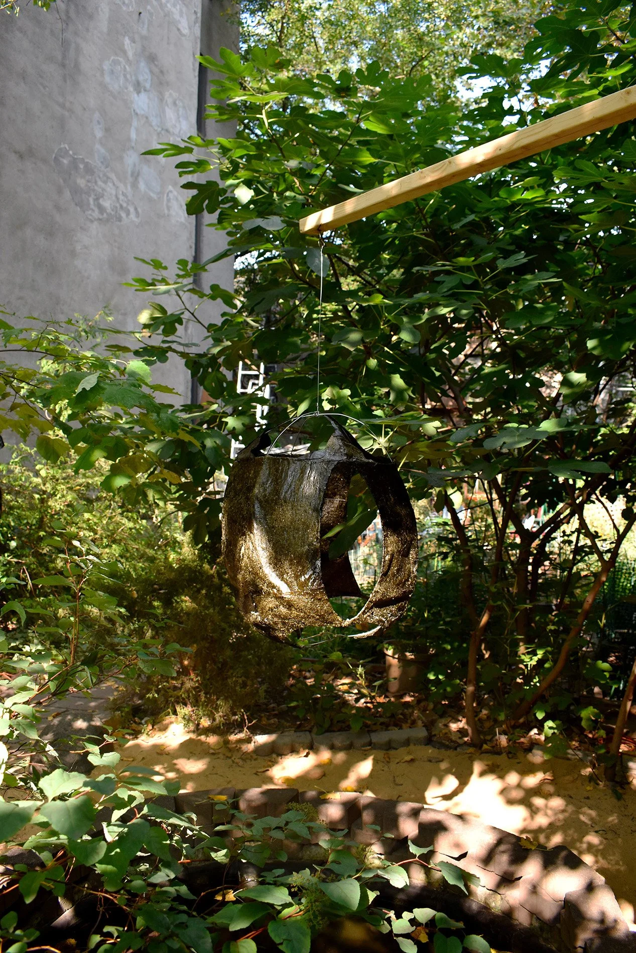 2025; Immemorial; Ulva Seaweed harvested from Rockaway Beach NY, glycerin, gelatin, aluminum wire; 30" x 23" x 23"