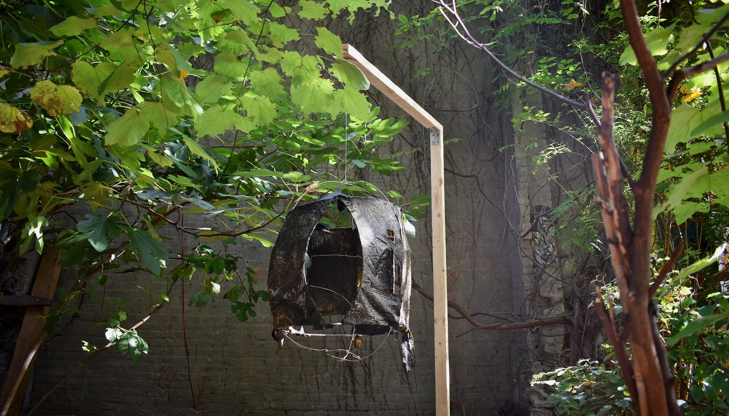 2025; Immemorial; Ulva Seaweed harvested from Rockaway Beach NY, glycerin, gelatin, aluminum wire; 30" x 23" x 23"
Image taken two weeks after installation