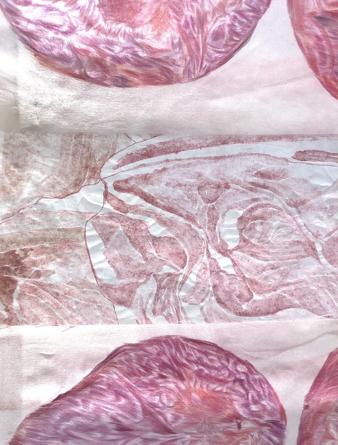 I Love Juice; Colored pencil, watercolor, pastel, silk, rice paper, tracing paper, metalic thread, hair, artist made poplar wood frame; 72'' x 32'; 2024