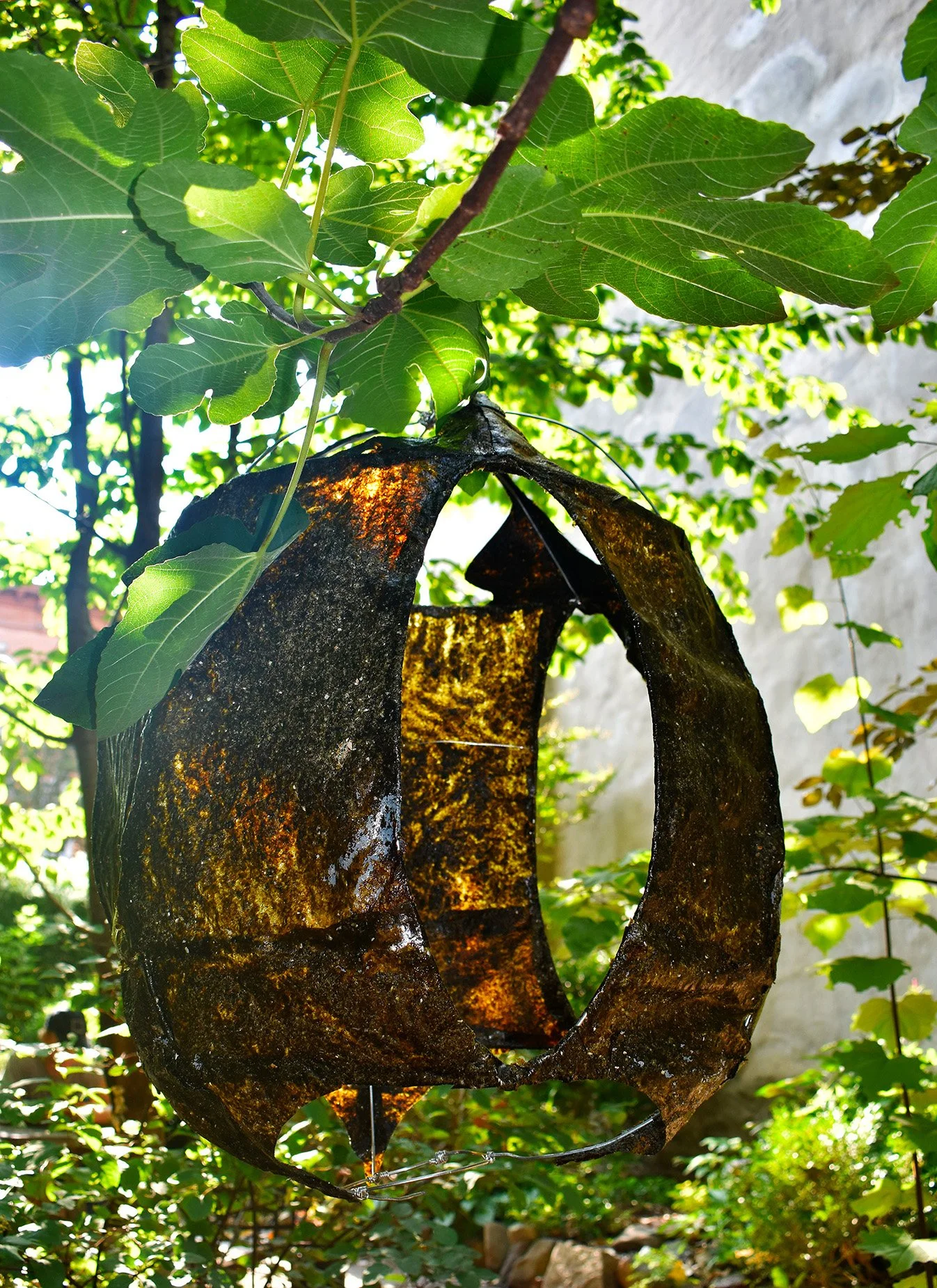 2025; Immemorial; Ulva Seaweed harvested from Rockaway Beach NY, glycerin, gelatin, aluminum wire; 30" x 23" x 23"