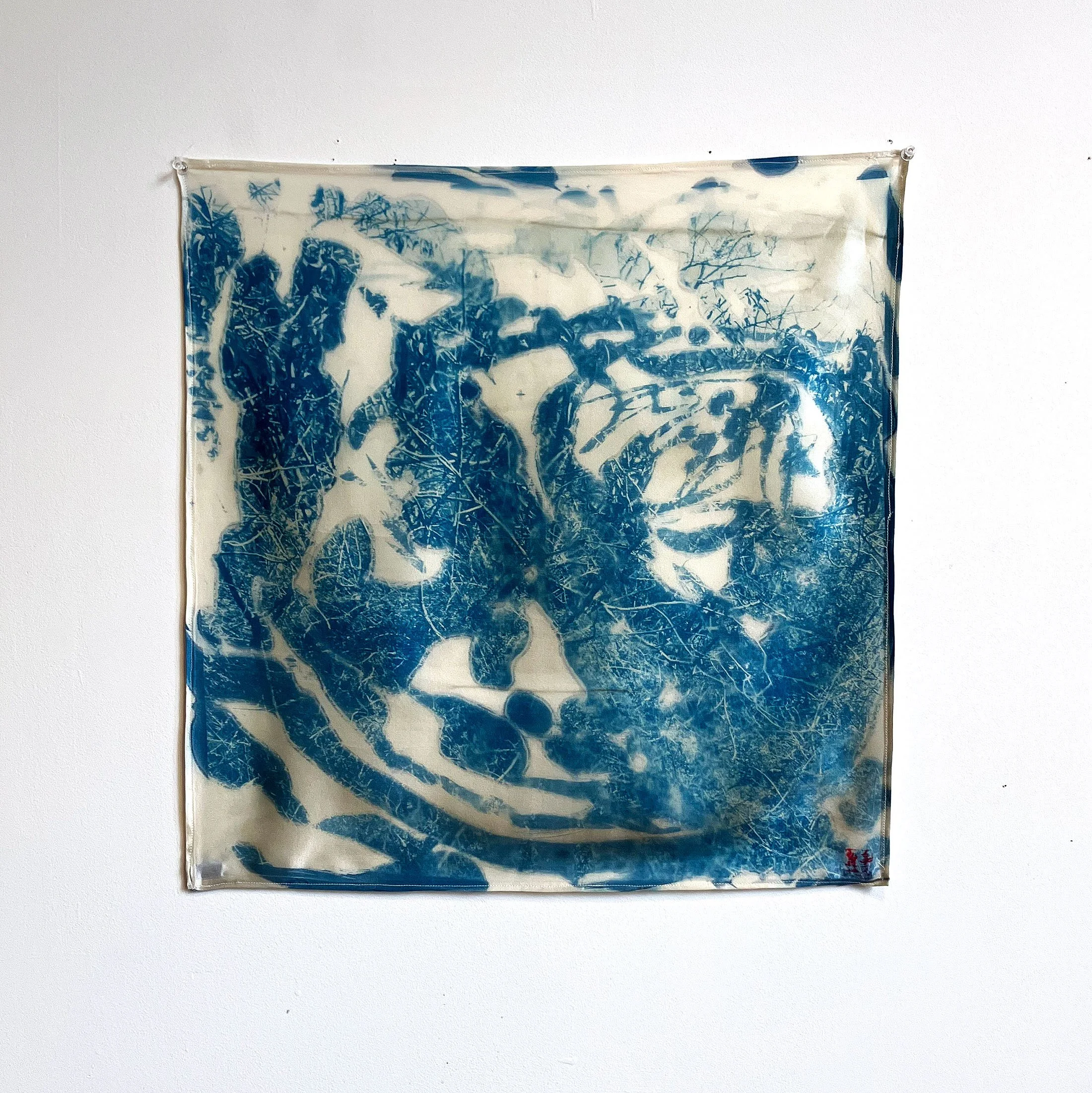 #1; 2025; Inheritance; Photographic cyanotype exposure on canvas; 23" x 23"