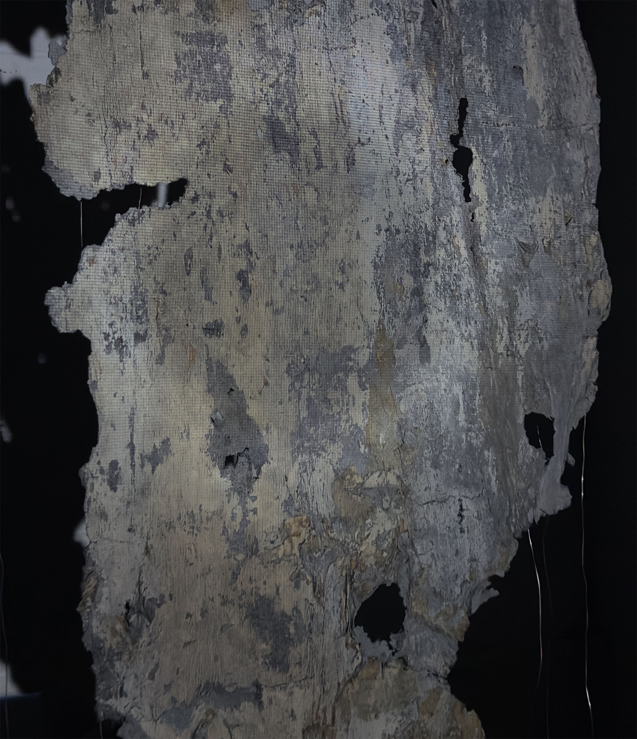 2024; Modern Interpretation of Purgatory; Video projection, handmade paper, eucalyptus bark; 34" x 60"