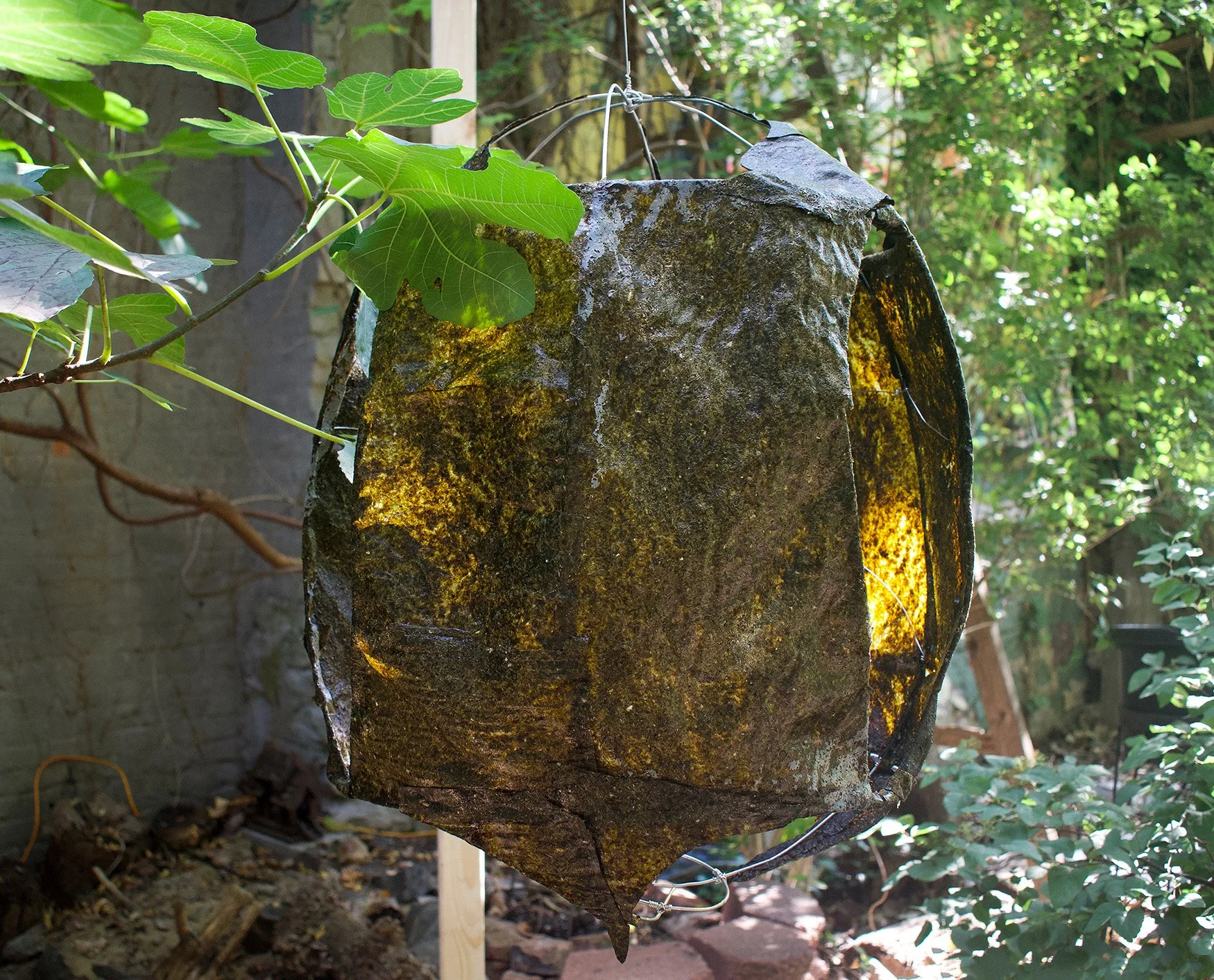 2025; Immemorial; Ulva Seaweed harvested from Rockaway Beach NY, glycerin, gelatin, aluminum wire; 30" x 23" x 23"