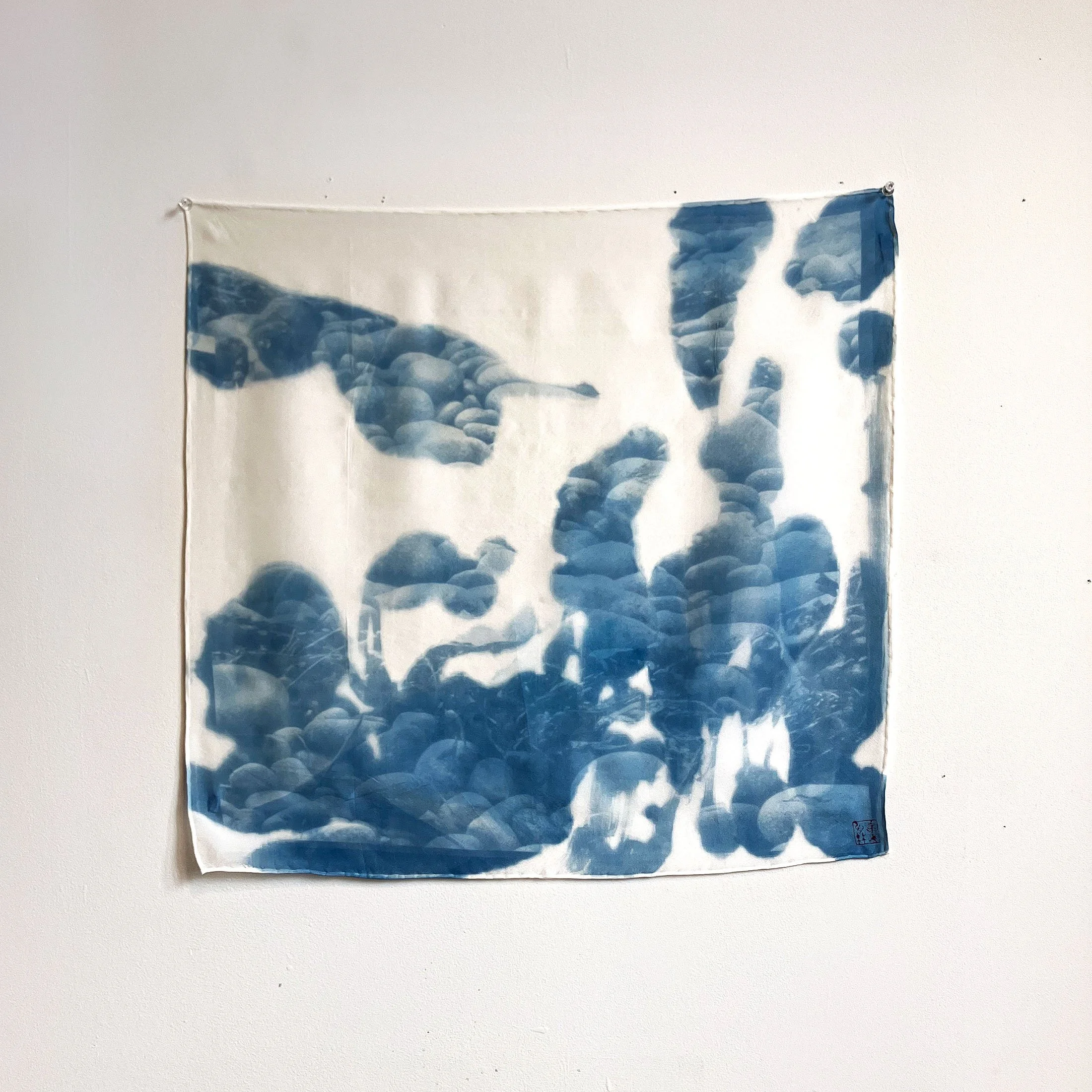 #4; 2025; Inheritance; Photographic cyanotype exposure on canvas; 21" x 21"