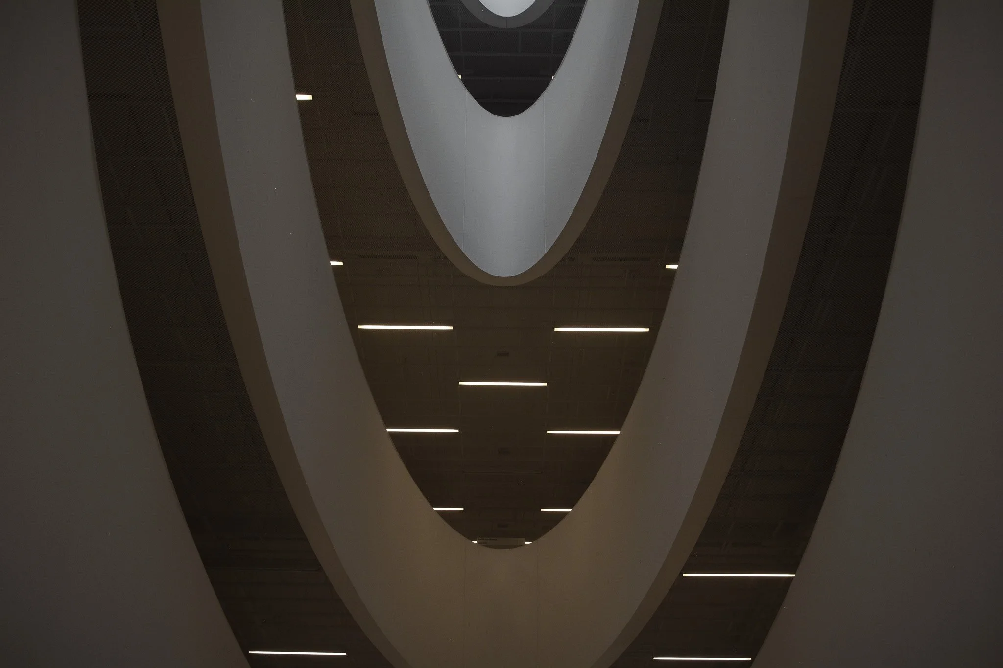 DSC_0431.jpg