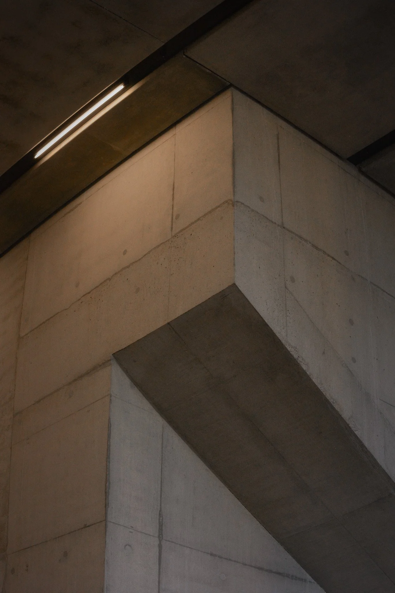 DSC_0763.jpg