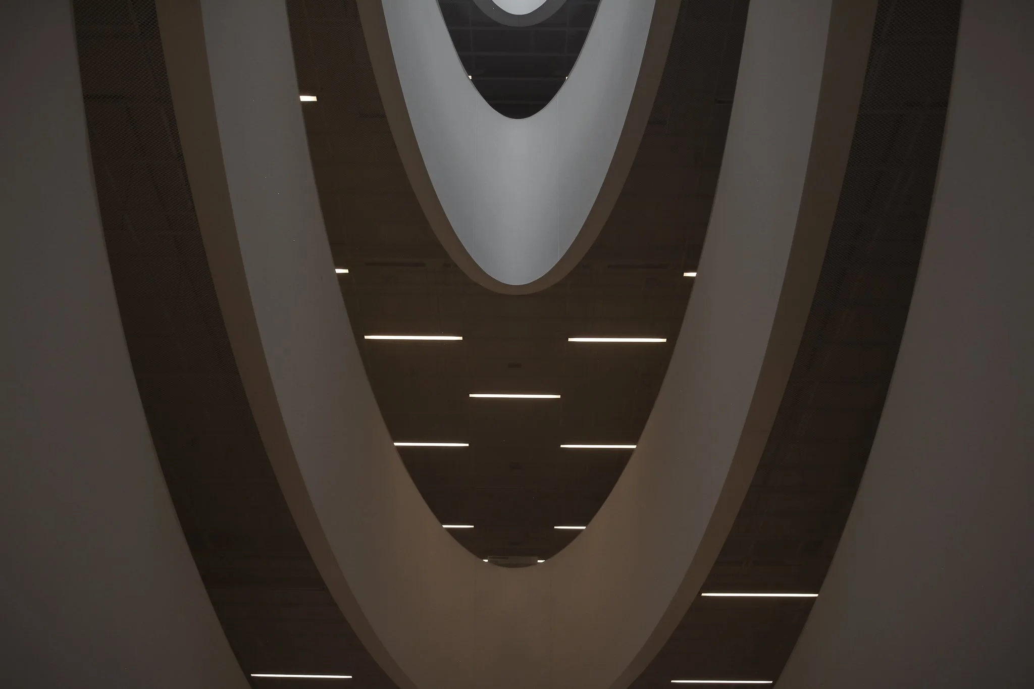 DSC_0431.jpg
