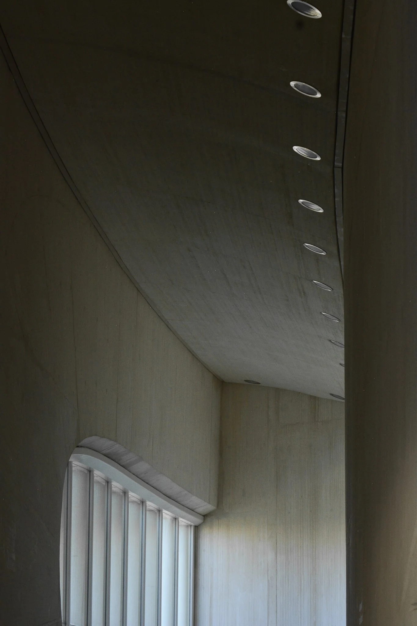 DSC_0024.jpg