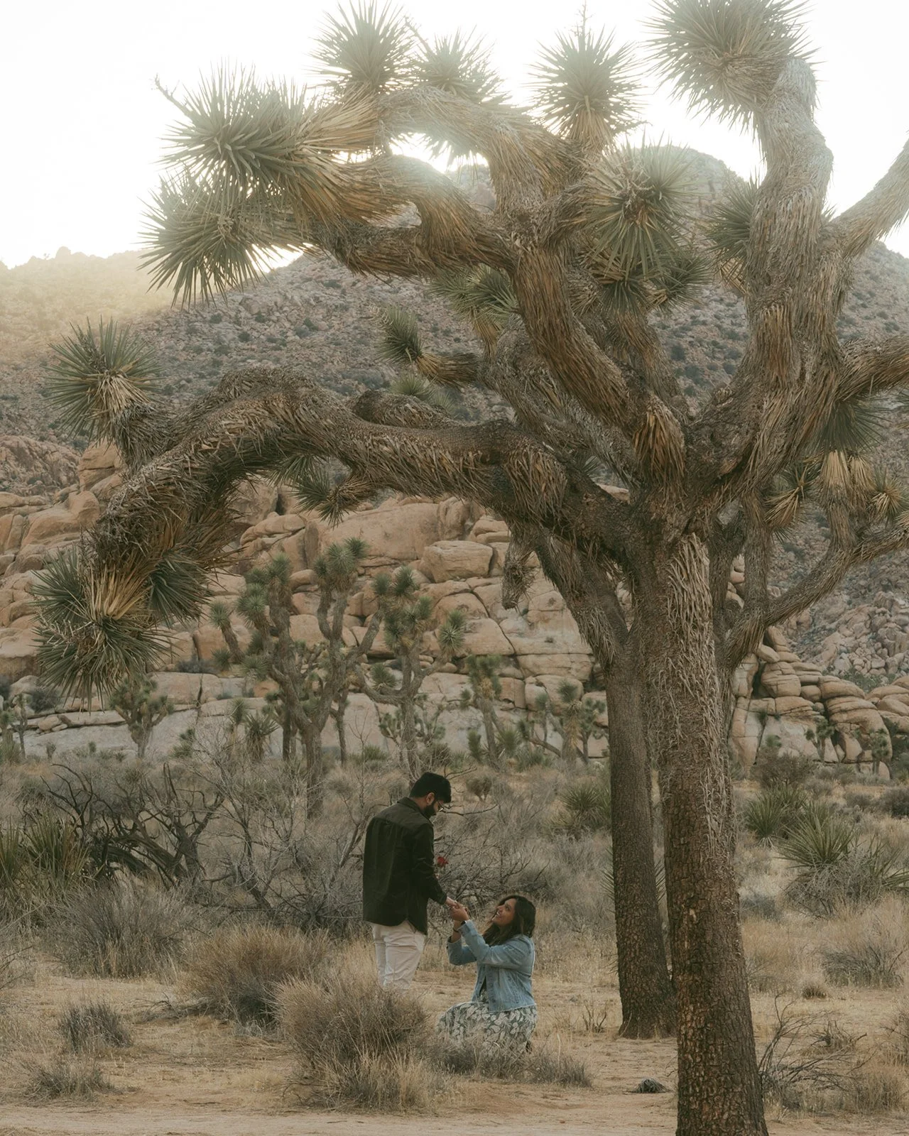 how to elope in joshua tree
