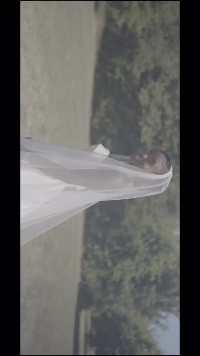 Love and Light
#colourgrading #love #explorepage #wedding #sony #explorepage✨ #davinciresolve #fypage #sonyalpha #fyp