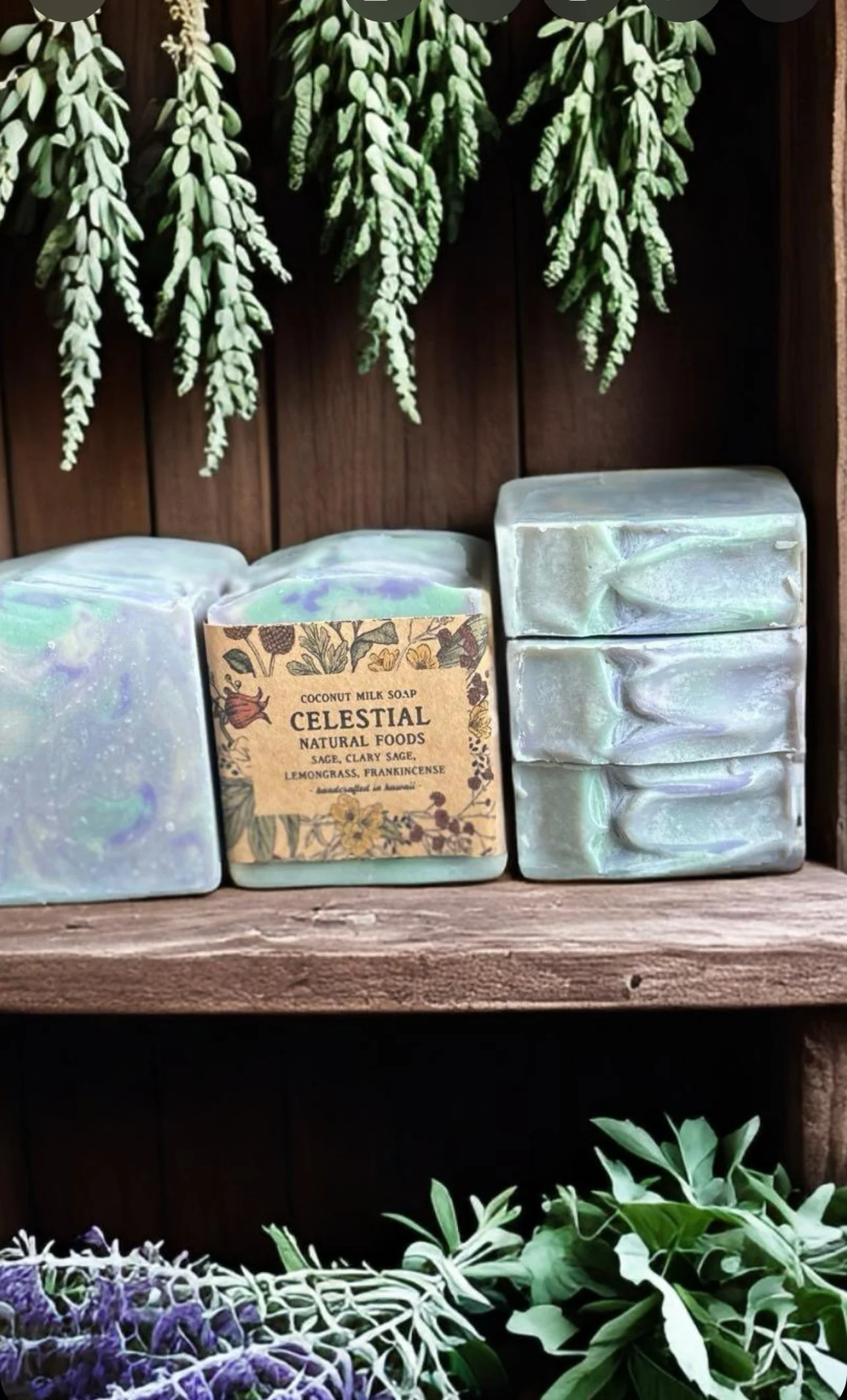 Celestial Coconut Milk True Soap